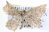  ( - BIOUG04001-A06)  @14 [ ] CreativeCommons - Attribution (2012) CBG Photography Group Centre for Biodiversity Genomics