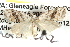  ( - BIOUG04002-B09)  @12 [ ] CreativeCommons - Attribution (2012) CBG Photography Group Centre for Biodiversity Genomics
