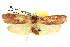  ( - BIOUG04002-C01)  @13 [ ] CreativeCommons - Attribution (2012) CBG Photography Group Centre for Biodiversity Genomics