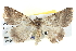  ( - BIOUG04002-D07)  @13 [ ] CreativeCommons - Attribution (2012) CBG Photography Group Centre for Biodiversity Genomics