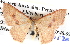  ( - BIOUG04002-G04)  @14 [ ] CreativeCommons - Attribution (2012) CBG Photography Group Centre for Biodiversity Genomics