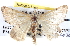  ( - BIOUG04002-H09)  @12 [ ] CreativeCommons - Attribution (2012) CBG Photography Group Centre for Biodiversity Genomics