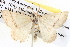 ( - BIOUG04003-A05)  @11 [ ] CreativeCommons - Attribution (2012) CBG Photography Group Centre for Biodiversity Genomics