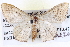  ( - BIOUG04003-C08)  @13 [ ] CreativeCommons - Attribution (2012) CBG Photography Group Centre for Biodiversity Genomics