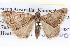  ( - BIOUG04003-C09)  @12 [ ] CreativeCommons - Attribution (2012) CBG Photography Group Centre for Biodiversity Genomics
