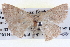  ( - BIOUG04003-F09)  @13 [ ] CreativeCommons - Attribution (2012) CBG Photography Group Centre for Biodiversity Genomics