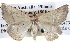  ( - BIOUG04004-B01)  @13 [ ] CreativeCommons - Attribution (2012) CBG Photography Group Centre for Biodiversity Genomics