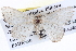 ( - BIOUG04004-B04)  @13 [ ] CreativeCommons - Attribution (2012) CBG Photography Group Centre for Biodiversity Genomics