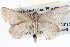  ( - BIOUG04004-B07)  @14 [ ] CreativeCommons - Attribution (2012) CBG Photography Group Centre for Biodiversity Genomics
