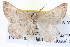  ( - BIOUG04004-B08)  @14 [ ] CreativeCommons - Attribution (2012) CBG Photography Group Centre for Biodiversity Genomics