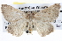  ( - BIOUG04004-B12)  @12 [ ] CreativeCommons - Attribution (2012) CBG Photography Group Centre for Biodiversity Genomics