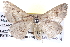  ( - BIOUG04004-D12)  @13 [ ] CreativeCommons - Attribution (2012) CBG Photography Group Centre for Biodiversity Genomics