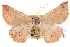  ( - BIOUG04004-F06)  @15 [ ] CreativeCommons - Attribution (2012) CBG Photography Group Centre for Biodiversity Genomics