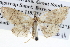  ( - BIOUG04004-G08)  @14 [ ] CreativeCommons - Attribution (2012) CBG Photography Group Centre for Biodiversity Genomics