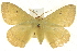  ( - BIOUG04032-A01)  @13 [ ] CreativeCommons - Attribution (2012) CBG Photography Group Centre for Biodiversity Genomics