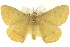 ( - BIOUG04032-A02)  @14 [ ] CreativeCommons - Attribution (2012) CBG Photography Group Centre for Biodiversity Genomics
