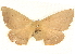  ( - BIOUG04032-A07)  @13 [ ] CreativeCommons - Attribution (2012) CBG Photography Group Centre for Biodiversity Genomics