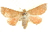  ( - BIOUG04032-C04)  @15 [ ] CreativeCommons - Attribution (2012) CBG Photography Group Centre for Biodiversity Genomics