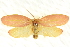  ( - BIOUG04032-D06)  @14 [ ] CreativeCommons - Attribution (2012) CBG Photography Group Centre for Biodiversity Genomics