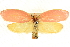  ( - BIOUG04032-D09)  @13 [ ] CreativeCommons - Attribution (2012) CBG Photography Group Centre for Biodiversity Genomics