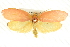  ( - BIOUG04032-D10)  @14 [ ] CreativeCommons - Attribution (2012) CBG Photography Group Centre for Biodiversity Genomics
