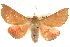  ( - BIOUG04032-H06)  @15 [ ] CreativeCommons - Attribution (2012) CBG Photography Group Centre for Biodiversity Genomics
