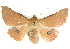  ( - BIOUG04032-H07)  @15 [ ] CreativeCommons - Attribution (2012) CBG Photography Group Centre for Biodiversity Genomics