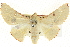  ( - BIOUG04033-C10)  @14 [ ] CreativeCommons - Attribution (2012) CBG Photography Group Centre for Biodiversity Genomics