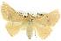  ( - BIOUG04033-C11)  @14 [ ] CreativeCommons - Attribution (2012) CBG Photography Group Centre for Biodiversity Genomics
