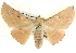  ( - BIOUG04033-D03)  @14 [ ] CreativeCommons - Attribution (2012) CBG Photography Group Centre for Biodiversity Genomics
