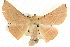  ( - BIOUG04033-D06)  @14 [ ] CreativeCommons - Attribution (2012) CBG Photography Group Centre for Biodiversity Genomics