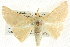  ( - BIOUG04033-E02)  @13 [ ] CreativeCommons - Attribution (2012) CBG Photography Group Centre for Biodiversity Genomics