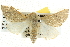  ( - BIOUG04033-E07)  @14 [ ] CreativeCommons - Attribution (2012) CBG Photography Group Centre for Biodiversity Genomics