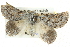  ( - BIOUG04034-C12)  @14 [ ] CreativeCommons - Attribution (2012) CBG Photography Group Centre for Biodiversity Genomics