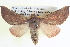  ( - BIOUG04035-E08)  @13 [ ] CreativeCommons - Attribution (2012) CBG Photography Group Centre for Biodiversity Genomics