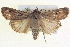  ( - BIOUG04036-B09)  @14 [ ] CreativeCommons - Attribution (2012) CBG Photography Group Centre for Biodiversity Genomics