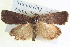  ( - BIOUG04036-C08)  @14 [ ] CreativeCommons - Attribution (2012) CBG Photography Group Centre for Biodiversity Genomics
