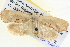  ( - BIOUG04036-G10)  @14 [ ] CreativeCommons - Attribution (2012) CBG Photography Group Centre for Biodiversity Genomics