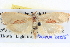  ( - BIOUG04036-H01)  @14 [ ] CreativeCommons - Attribution (2012) CBG Photography Group Centre for Biodiversity Genomics
