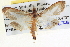  ( - BIOUG04036-H02)  @13 [ ] CreativeCommons - Attribution (2012) CBG Photography Group Centre for Biodiversity Genomics