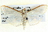  ( - BIOUG04037-C12)  @13 [ ] CreativeCommons - Attribution (2012) CBG Photography Group Centre for Biodiversity Genomics