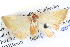  ( - BIOUG04037-F04)  @14 [ ] CreativeCommons - Attribution (2012) CBG Photography Group Centre for Biodiversity Genomics