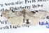  ( - BIOUG04037-F12)  @13 [ ] CreativeCommons - Attribution (2012) CBG Photography Group Centre for Biodiversity Genomics