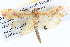  ( - BIOUG04037-G10)  @14 [ ] CreativeCommons - Attribution (2012) CBG Photography Group Centre for Biodiversity Genomics