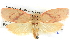  ( - BIOUG04037-H02)  @14 [ ] CreativeCommons - Attribution (2012) CBG Photography Group Centre for Biodiversity Genomics