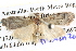  ( - BIOUG04038-A05)  @14 [ ] CreativeCommons - Attribution (2012) CBG Photography Group Centre for Biodiversity Genomics