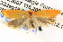 ( - BIOUG04038-B02)  @12 [ ] CreativeCommons - Attribution (2012) CBG Photography Group Centre for Biodiversity Genomics