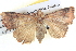  ( - BIOUG04038-G02)  @14 [ ] CreativeCommons - Attribution (2012) CBG Photography Group Centre for Biodiversity Genomics