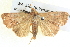  ( - BIOUG04038-G07)  @14 [ ] CreativeCommons - Attribution (2012) CBG Photography Group Centre for Biodiversity Genomics