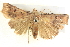  ( - BIOUG04038-G12)  @14 [ ] CreativeCommons - Attribution (2012) CBG Photography Group Centre for Biodiversity Genomics